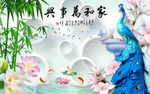 家和孔雀背景