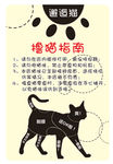 撸猫 摸猫技巧