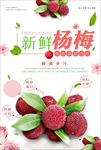 杨梅