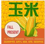 甜玉米