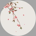 梅花无话可说