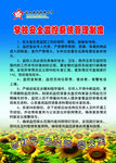 学校制度