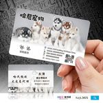 宠物动物PVC塑料双面名片