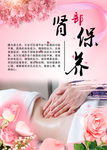 肾部保养
