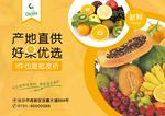 水果海报  宣传海报