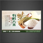 大米海报