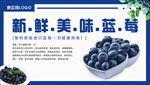 蓝莓海报