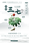中药三七海报