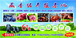 藏香猪 海报