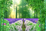 熏衣草树林背景