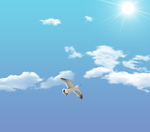天空