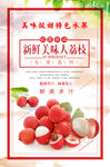 荔枝海报