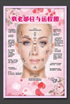 衰老部位与运程图
