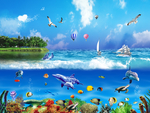 海底世界