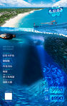 沙丁鱼风暴