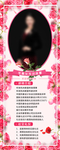 易拉宝  训练 课程 讲师介绍