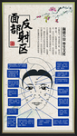 面部反射区中医展板