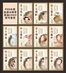 美容美体