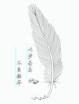 不负韶华