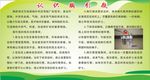 认识胸引瓶