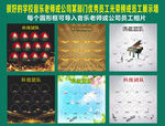 学校音乐老师公司优秀员工光荣榜