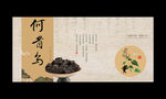 何首乌