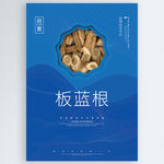 板蓝根