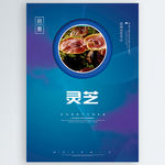 灵芝