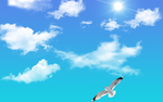 天空
