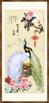 孔雀