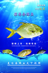深海金鲳鱼