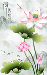 荷花