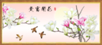 玉兰花