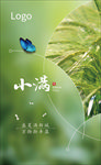 小满  节气  小麦   收获