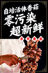 手剪香菇