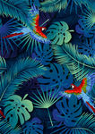 手绘热带植物鹦鹉服装印花图案