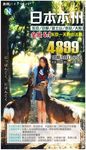 日本奈良 小鹿 日本旅游