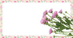 雏菊边框