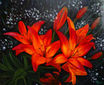 百合花花卉花朵油画艺术图片