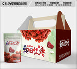 和田红枣包装箱包装礼盒设计