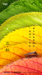 地产立秋