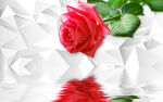玫瑰倒影3D背景墙