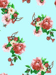 彩色大花 鲜花