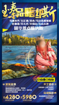 西北喀纳斯旅游海报