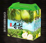 香梨礼盒