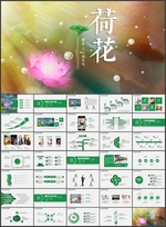 荷花PPT