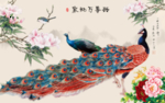 孔雀