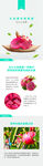 生鲜水果火龙果详情创意海报设计