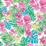 山茶花