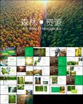 森林植树造林林业木材ppt模板